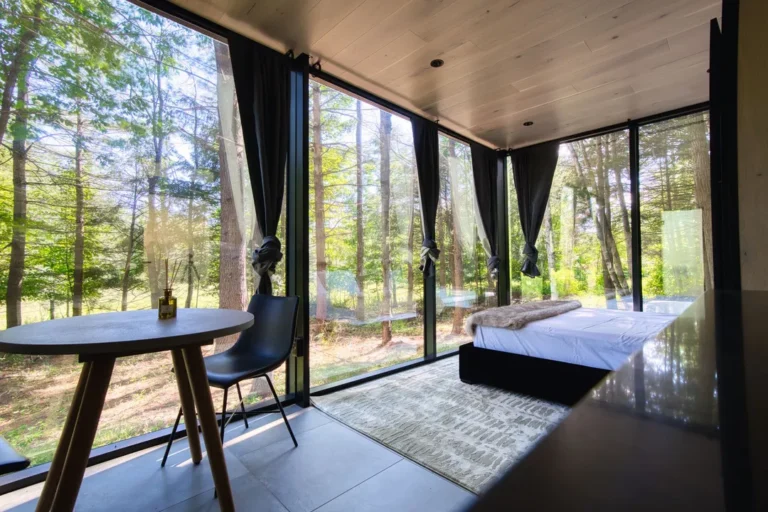 Home 22 Glass Mirror Cabin exterior reflecting forest at Haus Windham