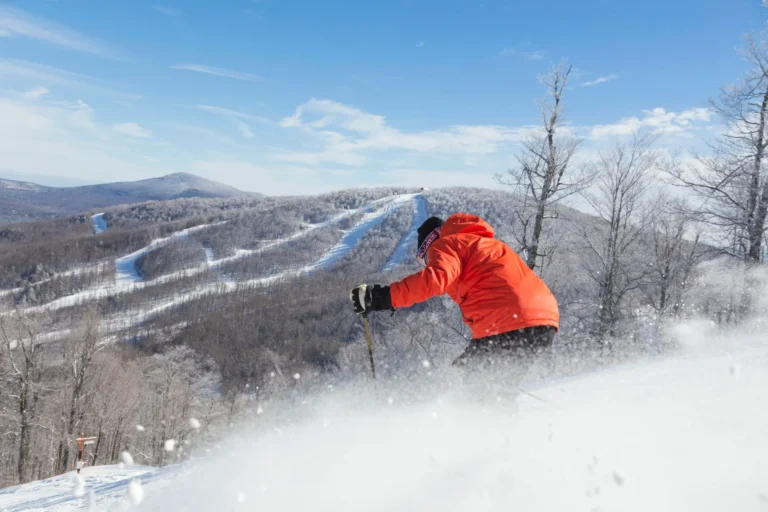 About Us 14 Glass Mirror Cabin exterior reflecting forest at Haus Windham