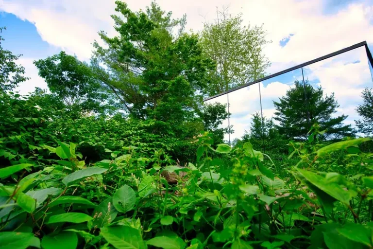 Home 21 Haus Windham suite bathroom with spa features