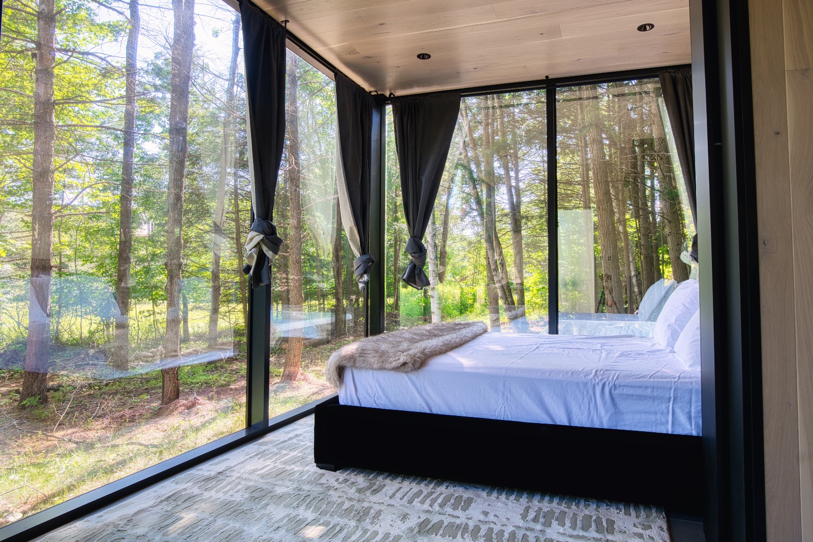 WhatsApp Image 2024-07-24 at 6.26.35 PM