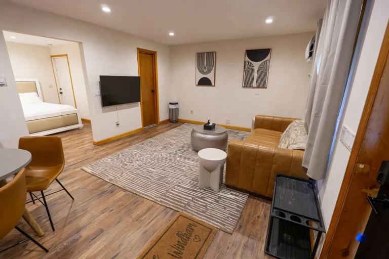 Downstairs Living Room